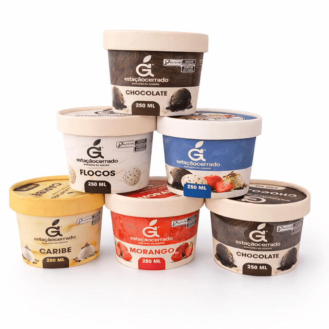 Sorvete Pote 250ml - 250 ml